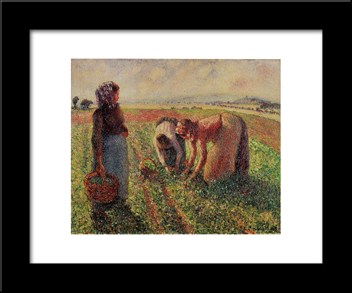 Picking Peas 20x24 Black Modern Wood Framed Art Print Poster by Pissarro, Camille