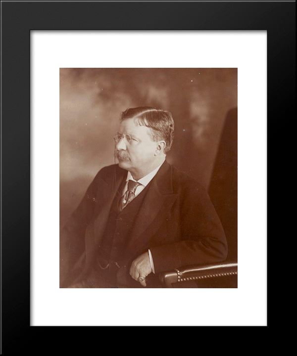 President Theodore Roosevelt, Sitting Side Face 20x24 Black Modern Wood Framed Art Print Poster by Library of Congress