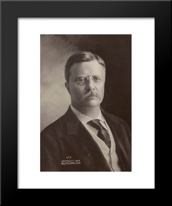 Cabinet Bust Photograph No. 2, Of President Theodore Roosevelt 20x24 Black Modern Wood Framed Art Print Poster by Library of Congress