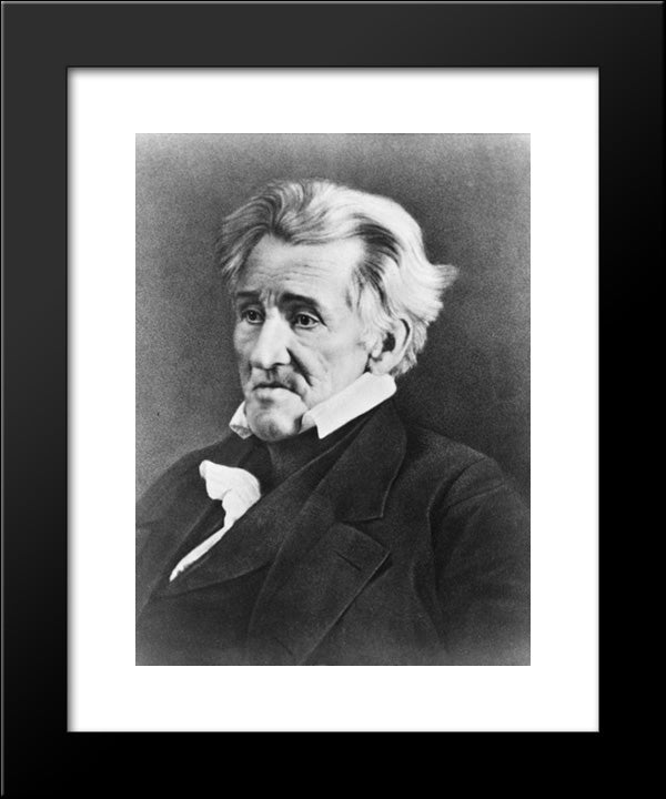 Andrew Jackson, Half Length Portrait, Seated, Facing Left 20x24 Black Modern Wood Framed Art Print Poster by Library of Congress