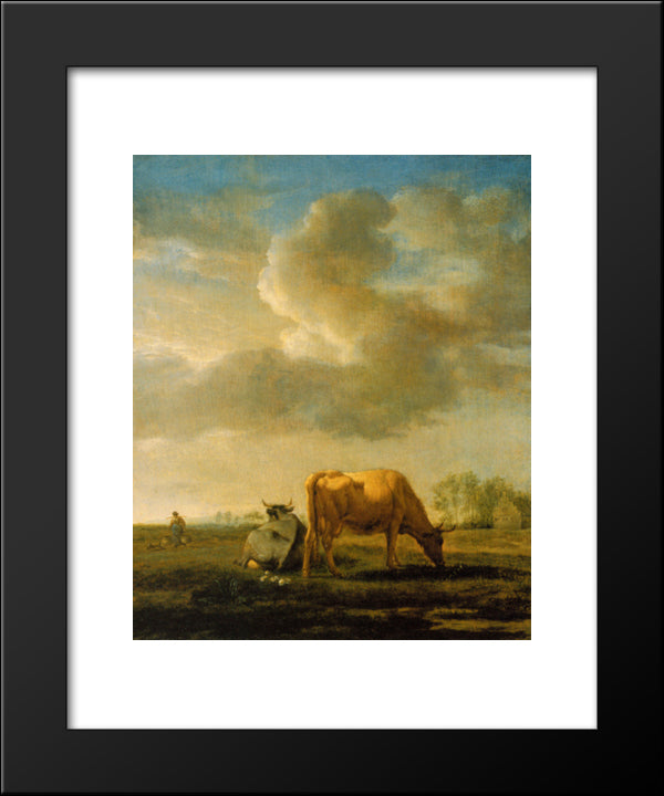 Cows On A Meadow 20x24 Black Modern Wood Framed Art Print Poster by Velde, Adriaen van de