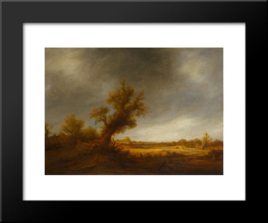 Landscape With An Old Oak 20x24 Black Modern Wood Framed Art Print Poster by Ostade, Adriaen van