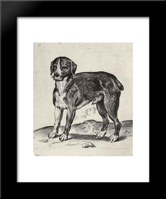 Dog 20x24 Black Modern Wood Framed Art Print Poster by Carracci, Agostino