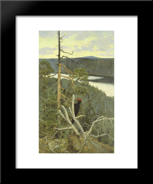 The Great Black Woodpecker 20x24 Black Modern Wood Framed Art Print Poster by Gallen Kallela, Akseli