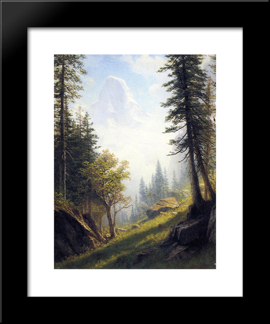 Among The Bernese Alps 20x24 Black Modern Wood Framed Art Print Poster by Bierstadt, Albert