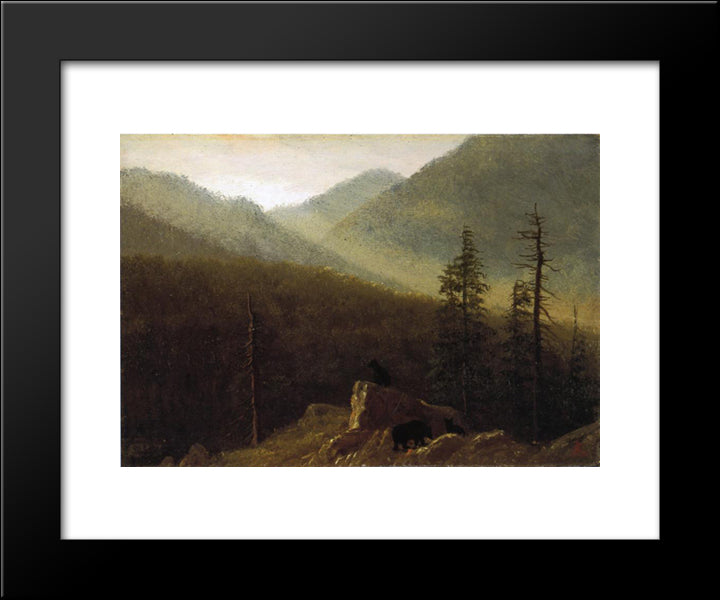 Bears In The Wilderness 20x24 Black Modern Wood Framed Art Print Poster by Bierstadt, Albert