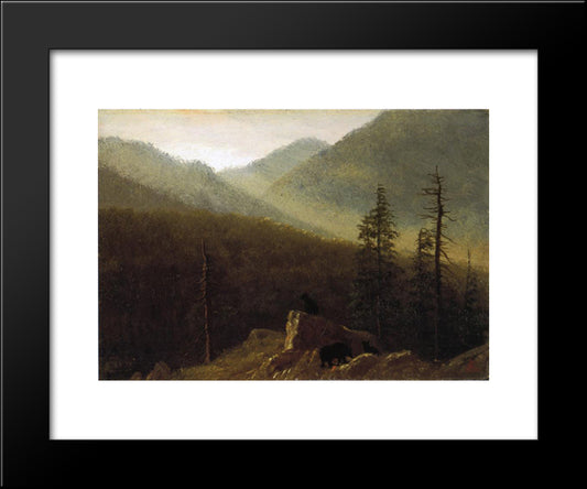 Bears In The Wilderness 20x24 Black Modern Wood Framed Art Print Poster by Bierstadt, Albert