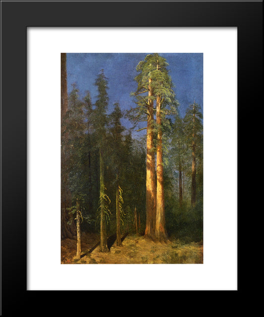 California Redwoods 20x24 Black Modern Wood Framed Art Print Poster by Bierstadt, Albert