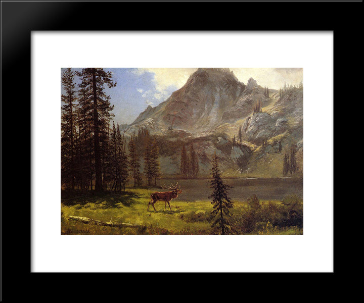 Call Of The Wild 20x24 Black Modern Wood Framed Art Print Poster by Bierstadt, Albert