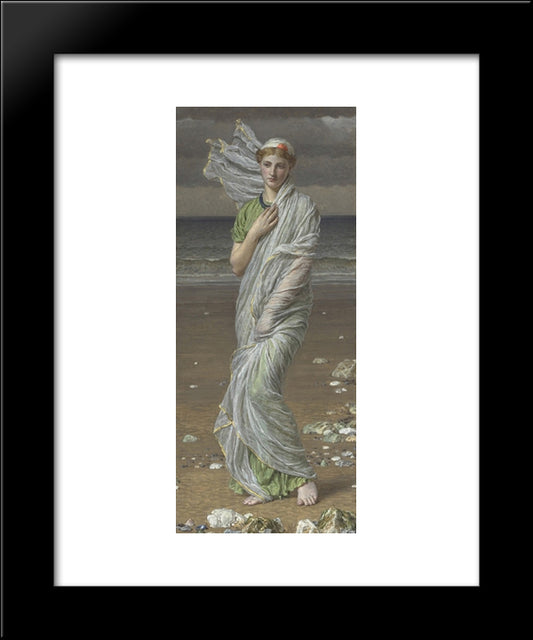 Seashells 20x24 Black Modern Wood Framed Art Print Poster by Moore, Albert Joseph