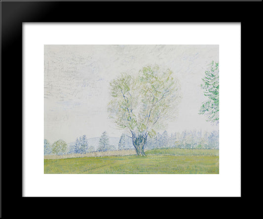 Landschaft Mit Freistehender Weide 20x24 Black Modern Wood Framed Art Print Poster by Trachsel, Albert
