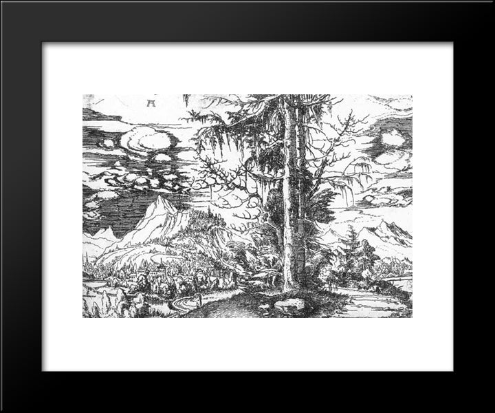 Landscape 20x24 Black Modern Wood Framed Art Print Poster by Altdorfer, Albrecht
