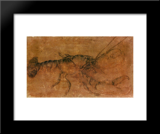 A Lobster 20x24 Black Modern Wood Framed Art Print Poster by Durer, Albrecht