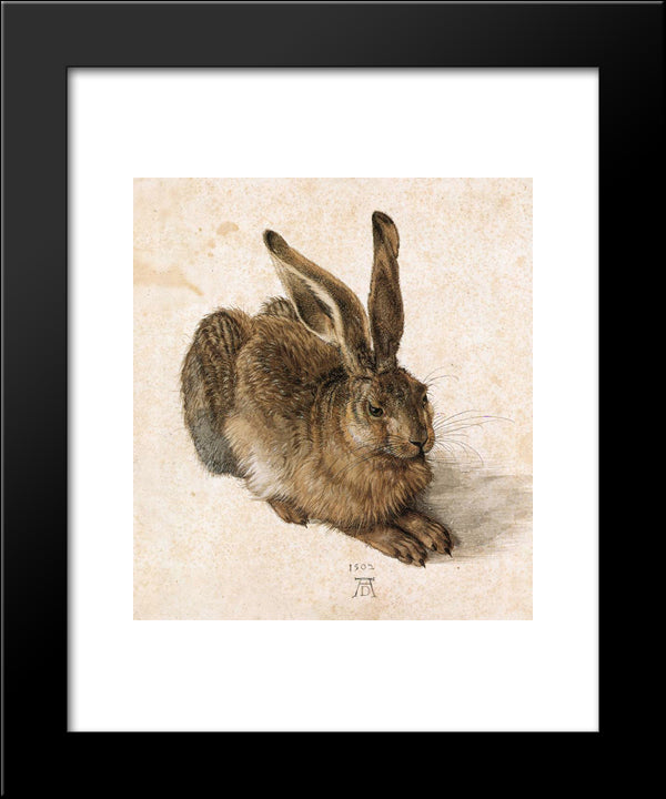 A Young Hare  20x24 Black Modern Wood Framed Art Print Poster by Durer, Albrecht