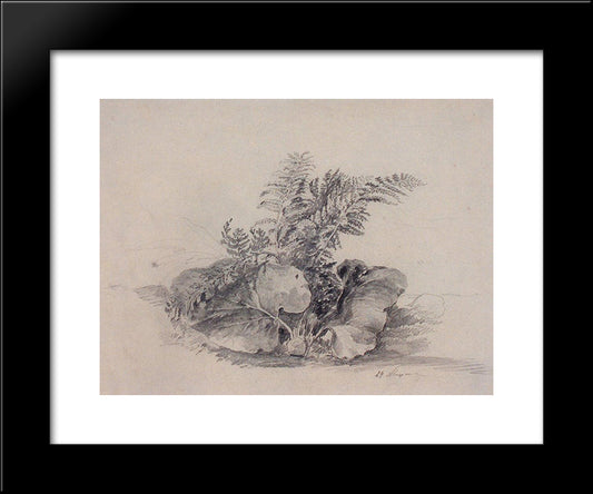 Fern Leaves And Burdock 20x24 Black Modern Wood Framed Art Print Poster by Savrasov, Aleksey