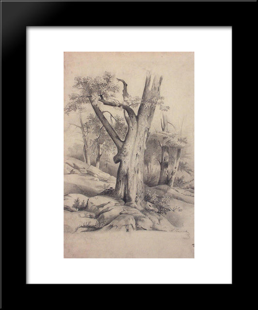 Oak 20x24 Black Modern Wood Framed Art Print Poster by Savrasov, Aleksey