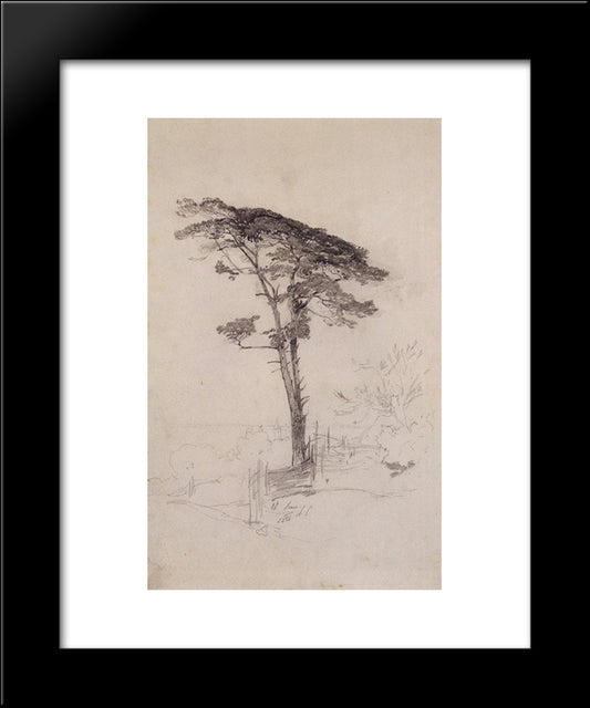 Pine 20x24 Black Modern Wood Framed Art Print Poster by Savrasov, Aleksey