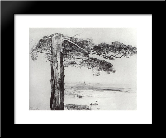 Pine From Gusareva 20x24 Black Modern Wood Framed Art Print Poster by Savrasov, Aleksey