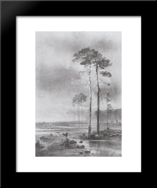 Pine In Marsh 20x24 Black Modern Wood Framed Art Print Poster by Savrasov, Aleksey