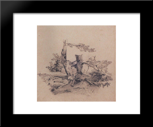 Pines, Adjacent To The Root Of The Barrel 20x24 Black Modern Wood Framed Art Print Poster by Savrasov, Aleksey