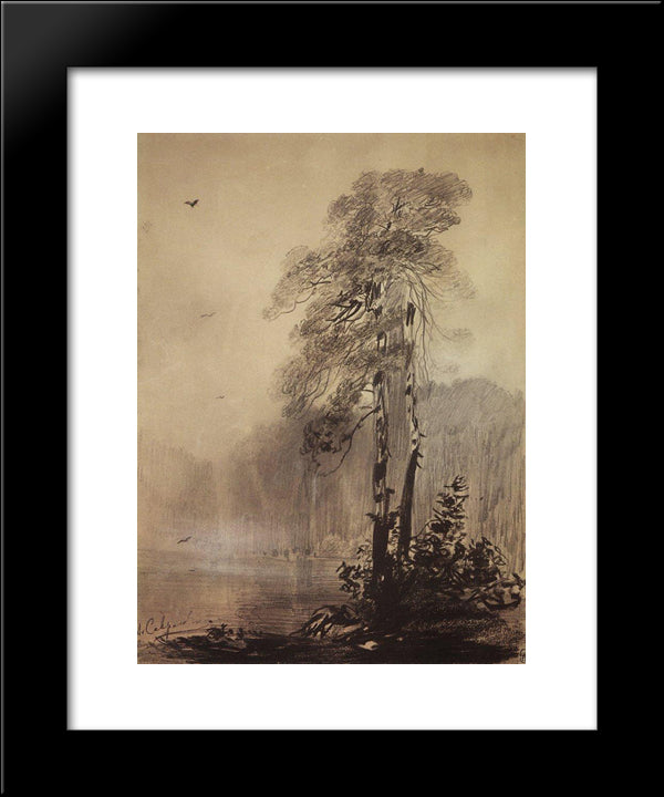 Pines On The Shores Of Lake 20x24 Black Modern Wood Framed Art Print Poster by Savrasov, Aleksey