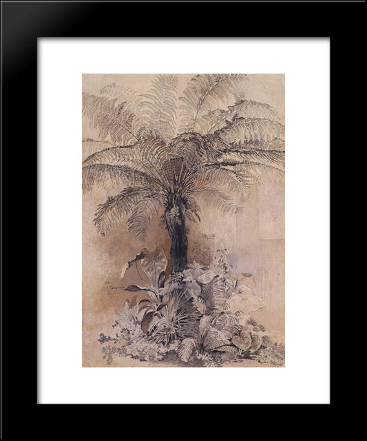 Tropical Plants 20x24 Black Modern Wood Framed Art Print Poster by Savrasov, Aleksey