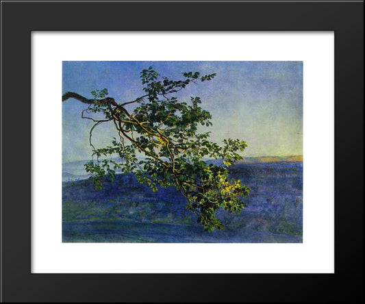 A Tree Branch 20x24 Black Modern Wood Framed Art Print Poster by Ivanov, Alexander