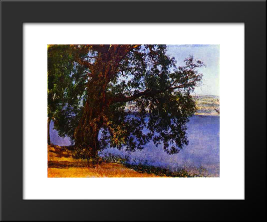 A Tree Over Water In The Vicinity Of Castel Gandolfo 20x24 Black Modern Wood Framed Art Print Poster by Ivanov, Alexander