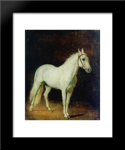 White Horse. Study. 20x24 Black Modern Wood Framed Art Print Poster by Ivanov, Alexander