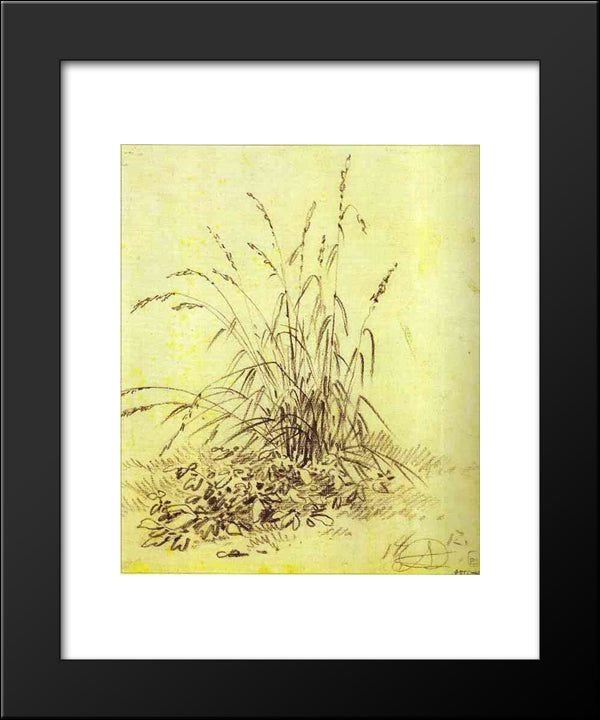 Grass 20x24 Black Modern Wood Framed Art Print Poster by Orlowski, Alexander