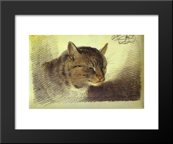 Head Of A Cat 20x24 Black Modern Wood Framed Art Print Poster by Orlowski, Alexander