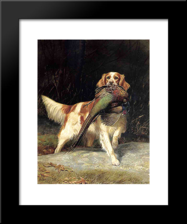 Springer Spaniel With Pheasant 20x24 Black Modern Wood Framed Art Print Poster by Pope, Alexander