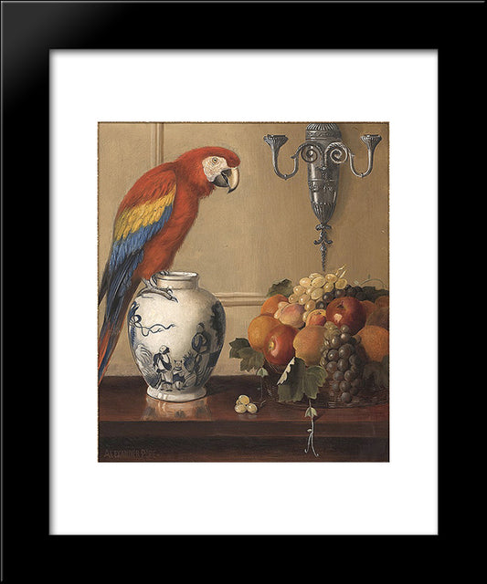 Still Life Of Macaw, Chinese Vase And Fruit 20x24 Black Modern Wood Framed Art Print Poster by Pope, Alexander