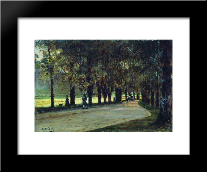 Alley In The Park, Liechtenstein 20x24 Black Modern Wood Framed Art Print Poster by Bogolyubov, Alexey