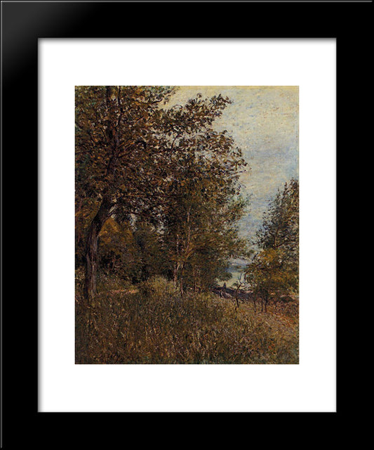 A Corner Of The Roches Courtaut Woods, June 20x24 Black Modern Wood Framed Art Print Poster by Sisley, Alfred