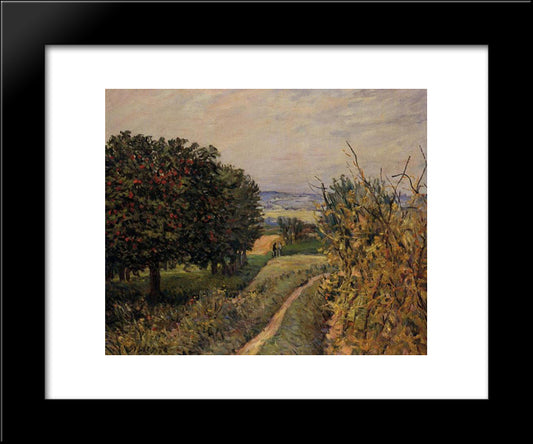 Among The Vines Near Louveciennes 20x24 Black Modern Wood Framed Art Print Poster by Sisley, Alfred