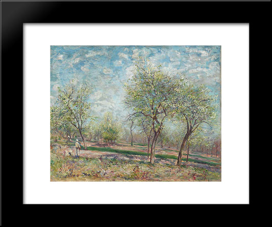 Apple Trees In Bloom 20x24 Black Modern Wood Framed Art Print Poster by Sisley, Alfred