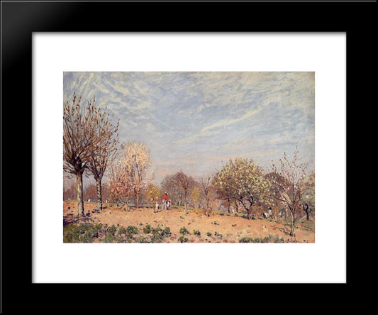 Apple Trees In Flower, Spring Morning (Pommiers En Fleurs Louveciennes) 20x24 Black Modern Wood Framed Art Print Poster by Sisley, Alfred