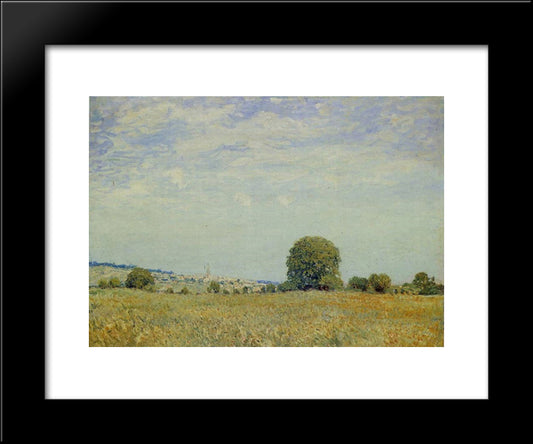 Fields At Saint Cloud 20x24 Black Modern Wood Framed Art Print Poster by Sisley, Alfred