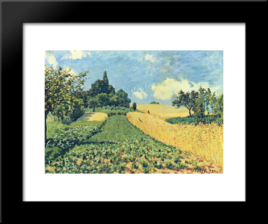 Grain Fields On The Hills Of Argenteuil 20x24 Black Modern Wood Framed Art Print Poster by Sisley, Alfred