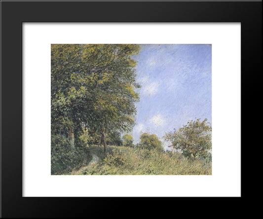 July Afternoon Near The Forest 20x24 Black Modern Wood Framed Art Print Poster by Sisley, Alfred