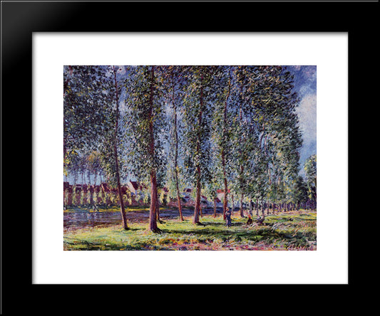 Lane Of Poplars At Moret 20x24 Black Modern Wood Framed Art Print Poster by Sisley, Alfred