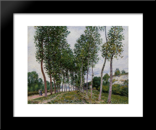 Lane Of Poplars On The Banks Of The Loing 20x24 Black Modern Wood Framed Art Print Poster by Sisley, Alfred