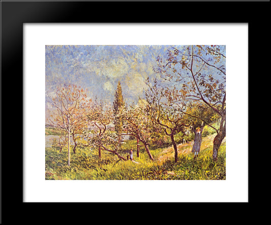 Orchard In Spring 20x24 Black Modern Wood Framed Art Print Poster by Sisley, Alfred
