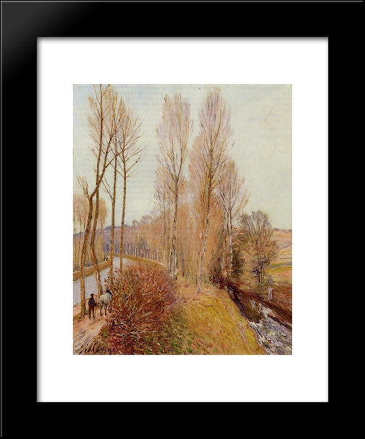 Path Along The Loing Canal 20x24 Black Modern Wood Framed Art Print Poster by Sisley, Alfred