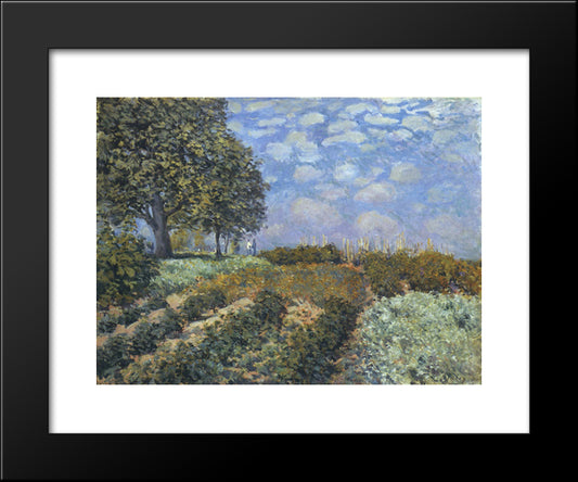 The Fields 20x24 Black Modern Wood Framed Art Print Poster by Sisley, Alfred