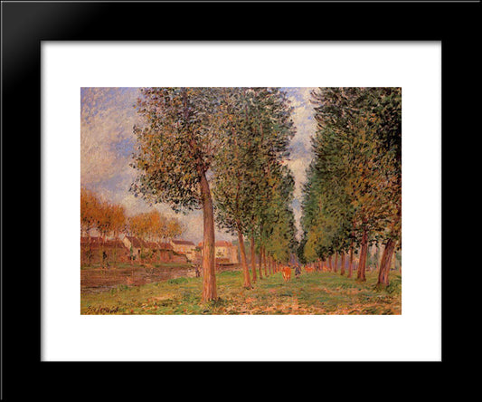 The Poplar Avenue At Moret, Cloudy Day, Morning 20x24 Black Modern Wood Framed Art Print Poster by Sisley, Alfred