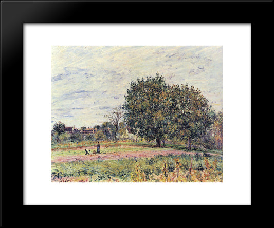 Walnut Trees At Sunset In Early October 20x24 Black Modern Wood Framed Art Print Poster by Sisley, Alfred