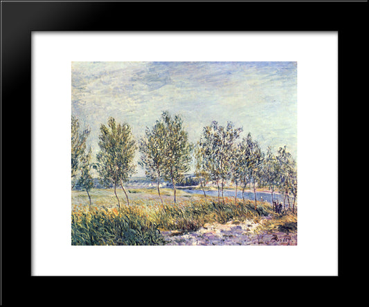 Wiese By 20x24 Black Modern Wood Framed Art Print Poster by Sisley, Alfred