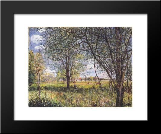 Willows In A Field Afternoon 20x24 Black Modern Wood Framed Art Print Poster by Sisley, Alfred